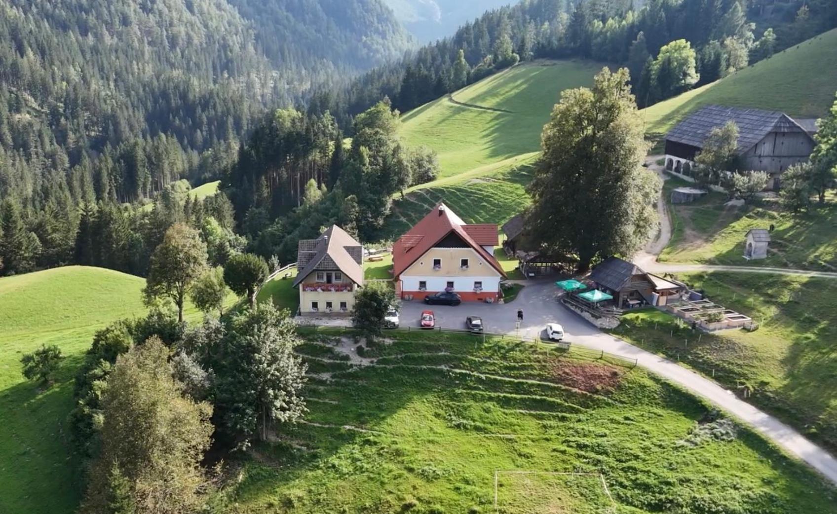 Appartement Tourist Farm Gradisnik à Solčava Extérieur photo