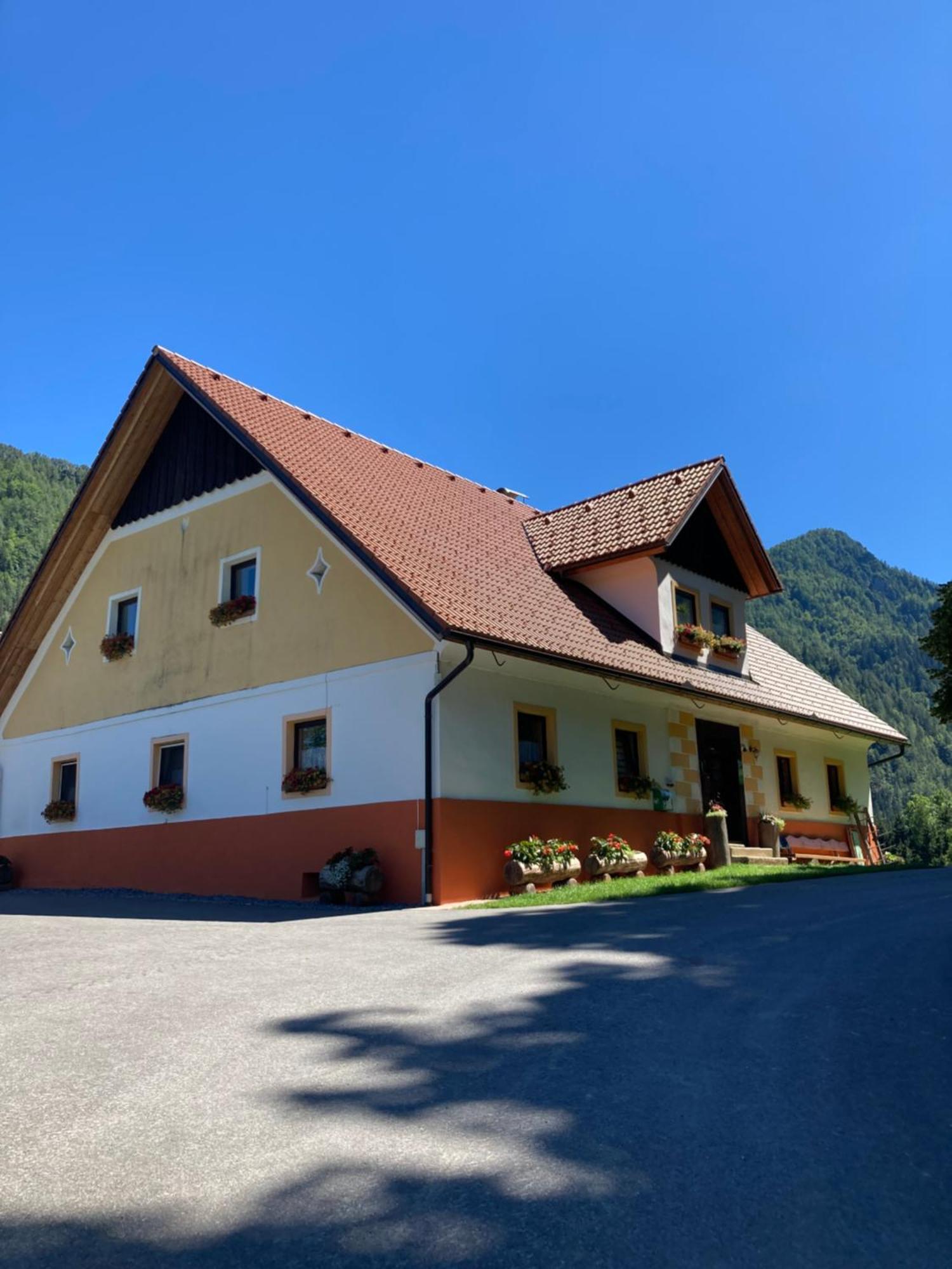 Appartement Tourist Farm Gradisnik à Solčava Extérieur photo
