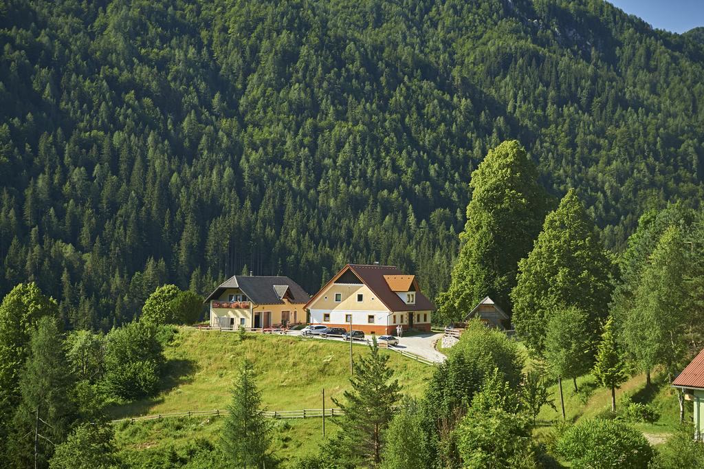 Appartement Tourist Farm Gradisnik à Solčava Extérieur photo